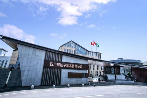 聚焦明星工廠 百位行業代表齊聚川娃子，共話食品智造新未來